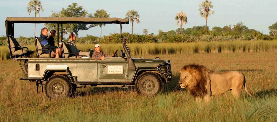 Overland group tours to Botswana